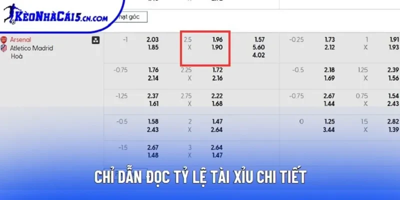 Chỉ dẫn đọc tỷ lệ tài xỉu chi tiết