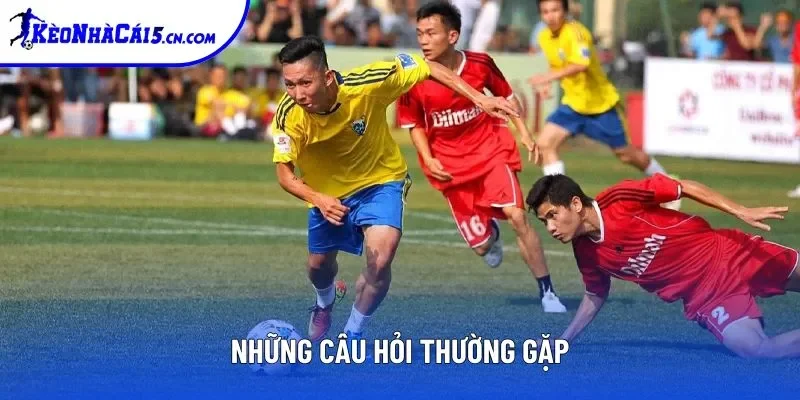 Những câu hỏi thường gặp