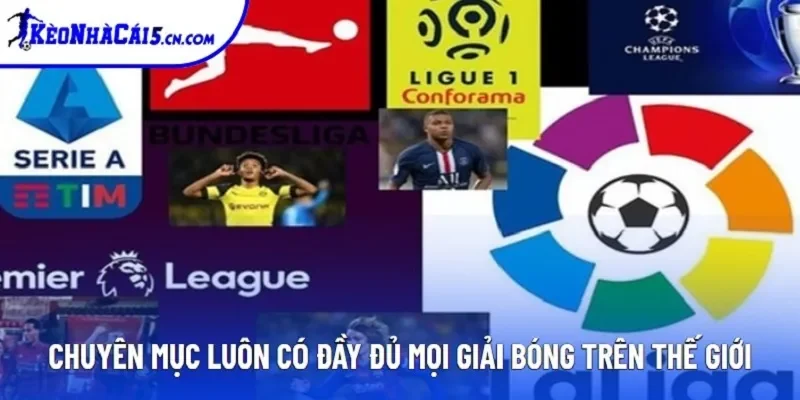 Chuyên mục luôn có đầy đủ mọi giải bóng trên thế giới